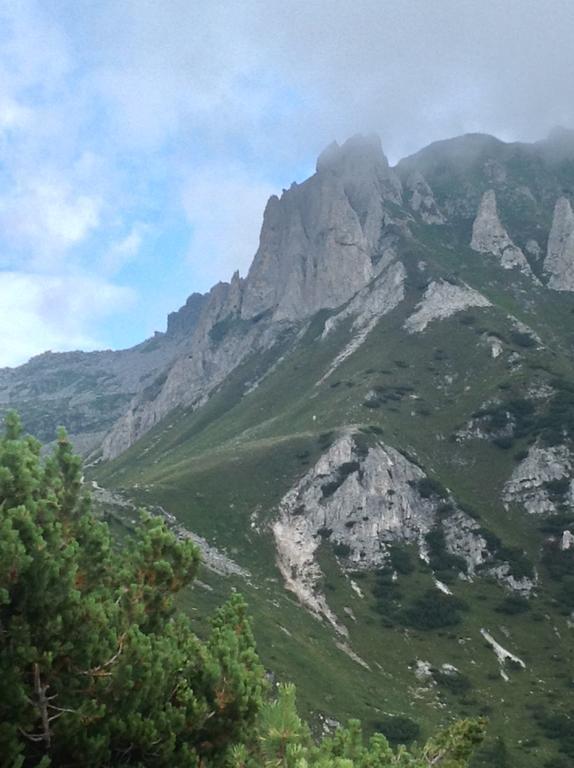 Affittacamere Valle Dorizzo Di Scavoni Paolo Val Dorizzo エクステリア 写真